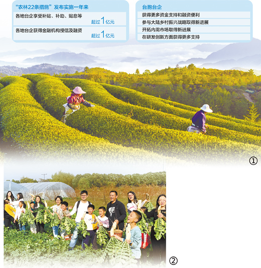 广阔天地大有可为(两岸脉动)