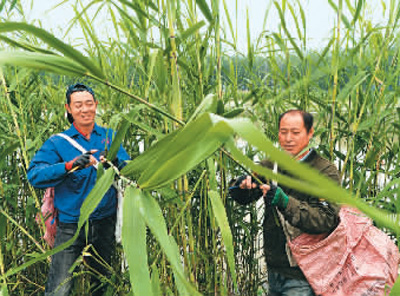 小得盈满“三车”忙(解码二十四节气)
