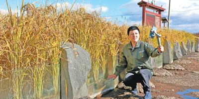 直播间里,好大米卖出好价钱(人物故事・聚焦乡村创业)
