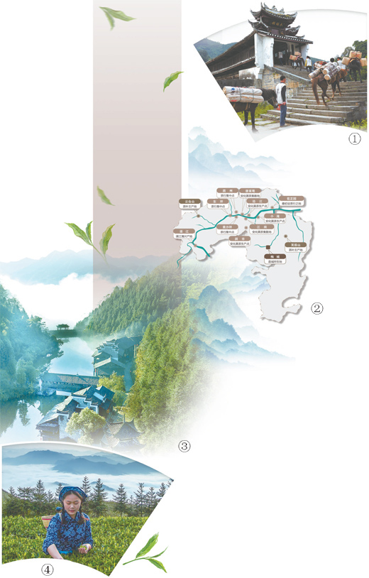 安化山重水复茶为径(城市味道・行走县城看中国)