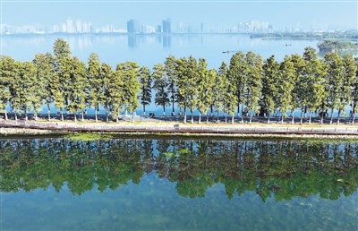 为湿地治理贡献中国智慧(踔厉奋进新征程)