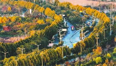 为湿地治理贡献中国智慧(踔厉奋进新征程)