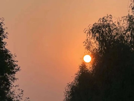 太平洋产险分公司电销负责人倒卖全省车主隐私，天安、国寿集体“入局”引关注